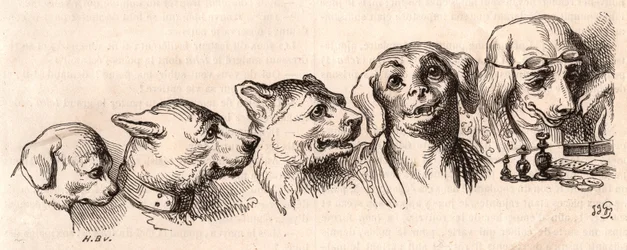 Evolutie van een hond naar een menselijke vorm