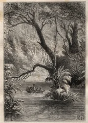 Expeditie naar Amerika (1799-1804) door Alexander von Humboldt (1769-1859) en Aime Bonpland (1773-1858): de ontdekkingsreizigers dalen de Orenoque af, omringd door de gigantische bomen van het Amazonewoud (Cano Pimichin, Venezuela) - illustratie uit 