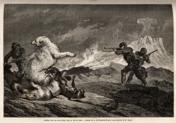 Gevecht met een ijsbeer die haar jong beschermt, de roedel honden valt haar aan en de jagers, gewapend met geweren, wachten op het juiste moment om haar neer te schieten. Gravure ter illustratie van de reis naar de vrije zee van de Noordpool, door dokter H
