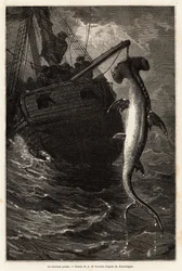 Vissen op een hamerhaai, 7 meter lang, in de wateren bij Anastasia Island. Gravure ter illustratie van het verhaal vier maanden in Florida, door Achille Pousselgue in 1851-1852, gepubliceerd in 