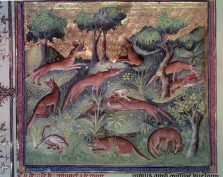Vossenjacht op pluimvee. Miniatuur uit het manuscript 