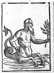 Glaucos met het magische gras dat hem in staat zal stellen in de zee te leven - in Mythologiae sive explicationis fabularum van Natalis Comitis. Patavia