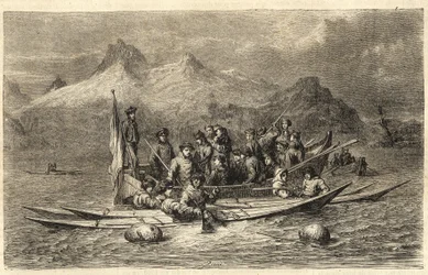 Jacht op zadelrobben - Jacht op zeehonden in Groenland - Gravure uit 