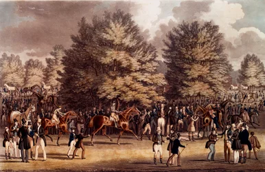 Hippisme: de voorbereiding voor de race in Epsem, Engeland