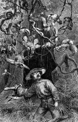 Illustratie "De naturalist op de rivier de Amazone" door Henry Walter Bates (gravure)