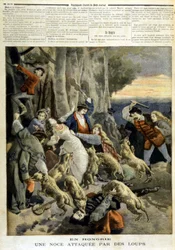 In Hongarije: een bruiloft aangevallen door wolven - in "Le Petit Journal" van 23/12/1894