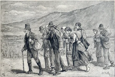 Ierland: seizoensarbeiders voor de oogst