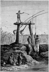 Irrigatie in Egypte: chadoufs (of shadoufs) aan de oevers van de Nijl. Gravure in "Le Monde Illustré" nr. 1313 van 27 mei 1882.