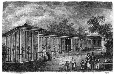 Jardin des Plantes in Parijs in 1861: valkerij.