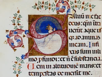 Lettrine S: David in het diepe licht - Antifonarium uit de 15e eeuw. Gemeentelijke Bibliotheek van Rimini.