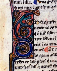 Lettrine versierd met een gotisch monster dat doet denken aan de waterspuwers (detail)