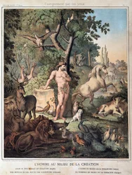 De mens in het midden van de Schepping - in "Histoire Sainte", ed. Hachette