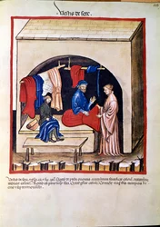 Handel in medicijnen: "zijde kledinghandelaar" Pagina uit "Tacuinum sanitatis" (Cod. ser. nov. 2644) Rond 1400