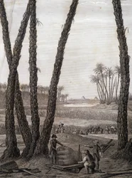Memphis, uitzicht op de ruïnes (wetenschappers en werkende kunstenaars) - in 