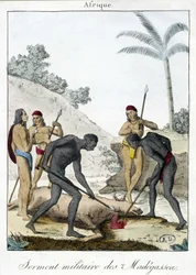 Militaire eed van de inwoners van Madagaskar (slachting van een os) - gravure 1811