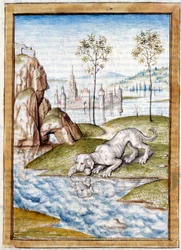 Miniatuur dieren uit een Duitse vertaling van de fabels van Kalila en Dimna door Bidpai