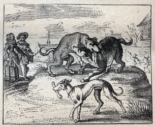 Oud Engels spreekwoord: twee honden vechten om een bot en de derde neemt het mee