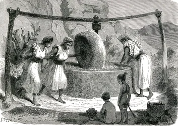 Olijvenmolen in Algerije 1885