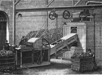 Papierproductie in de 19e eeuw.