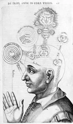 Fysiognomie afbeelding (frenologie) uit Collectio Operum door Robert Fludd. Londen 1617
