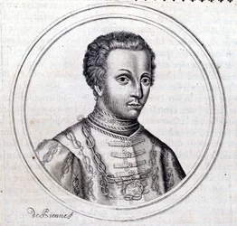 Portret van Amedee VI van Savoye, bekend als De Groene Graaf