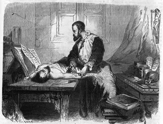 Portret van André Vesale (1514-1564), Nederlandse anatoom (In het Latijn: Andrea Vesalius, Nederlands: Andries Van Wesel). Gravure uit 1866