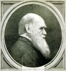 Portret van Charles Darwin (1809 - 1882)