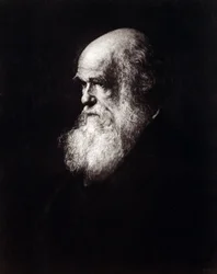 Portret van Charles Robert Darwin (1809 - 1882)