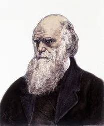 Portret van Charles Robert Darwin, Britse natuuronderzoeker (1809-1882)