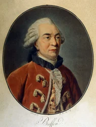 Portret van Georges Louis Leclerc, Graaf van Buffon (1707 - 1788), Franse natuuronderzoeker en schrijver.