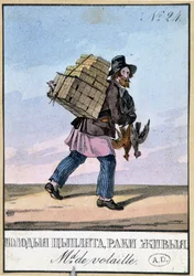 Pluimveehandelaar - Gravure uit de 19e eeuw