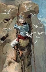Verzameling van salanganzwaluwennesten in Maleisië. Chromolithografie uit de late 19e eeuw.
