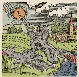 Voorstelling van basilieken in vlucht die tarwevelden verbranden. Gravure uit 