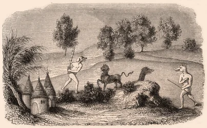 Weergave van middeleeuwse stammen en diersoorten: twee Cynocephalus die vechten tegen monsters