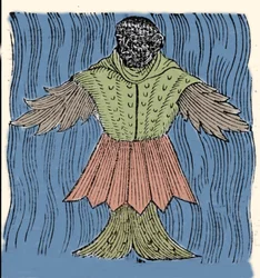 Voorstelling van de zeemonnik, denkbeeldige vis en marien monster. Gravure uit 