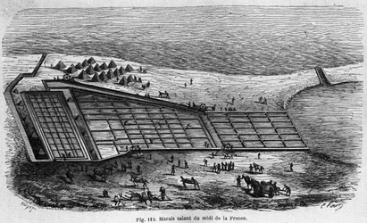 Zoutproductie: uitzicht op een zoutmoeras in het zuiden van Frankrijk, gravure uit 1880