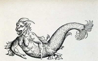 Zeeduivel, zogenaamd gevangen in de Adriatische Zee aan het begin van de 15e eeuw - volgens Gesner