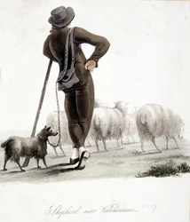Herder bij Valenciennes - aquarel