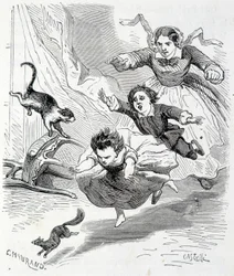 Sophie en de eekhoorn - in 