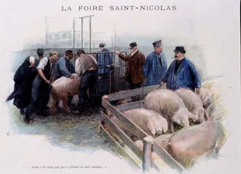 St. Nicolaasmarkt: Varkensmarkt in Bretagne
