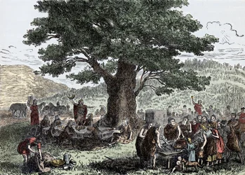 Teutonen genieten van de feestdagen