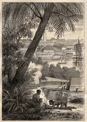 De Expeditie naar de Zuidelijke Landen (1800-1803) door Nicolas Baudin (1754-1803): Uitzicht op Sydney (Australië) - illustratie uit 