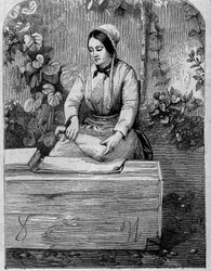 Het bottelen van Champagne wijn. Gravure uit 1864.