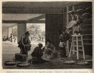 De kweek en handel van cocons van zijderupsen: een magneerie voor sericultuur, met op de achtergrond de teelt van moerbeibomen, onmisbaar voor het voeden van bombyx. Gravure ter illustratie van de reis naar Japan, door Aime Humbert, minister van de Zwitser