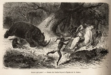 De aanval van de neushoorn die de jagers omverwerpt en in de val lokt, tijdens de zoektocht naar de auteur en zijn gidsen. Gravure ter illustratie van de verkenning van de Abessijnse zijrivieren van de Nijl, door Sir Samuel W.Baker, in 1861-62, gepubliceer