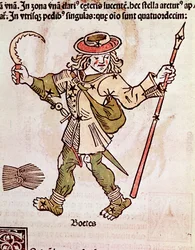De constellatie van Bouvier (detail)