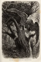 De adelaar die zijn nest beschermt tegen de indringer. Gravure ter illustratie van het verhaal Quatre mois en Florida, door M. Pousselgue, in 1851-1852, gepubliceerd in 