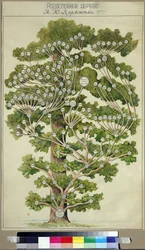 De stamboom van Michail Lermontov (1814-1841)