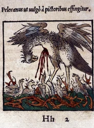 De legende van de pelikaan: hij geeft zijn bloed en ingewanden om zijn jongen te voeden. Uit Historiae animalium door Konrad Gesner, Tiguri