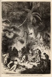 De voorbereiding van een maaltijd in het ongerepte bos in de Caravaya-vallei (Andes cordilliere), een boa constrictor met korte bouillon. Gravure ter illustratie van de reis in de valleien van Quinquinas (Peru), door Paul Marcoy, in 1849-1861, gepubliceerd
